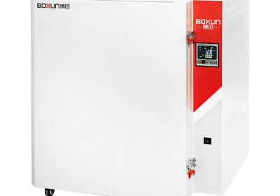 Высокотемпературные термошкафы BGG-38