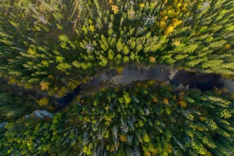 АЛРОСА представила на Северном форуме инновации для достижения углеродной нейтральности