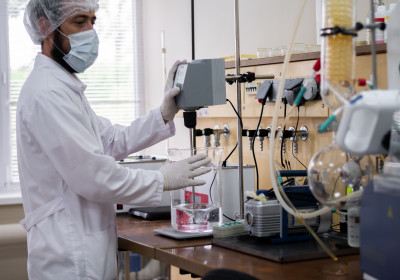 Определение/выделение штамма из предоставленных образцов