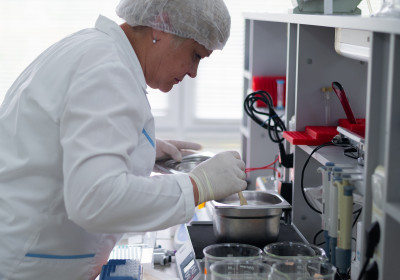 Разработка и мелкосерийное производство молочно-кислых заквасок