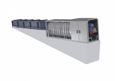 Электрооглушающий аппарат для мозга и сердца (рейстрейнер)