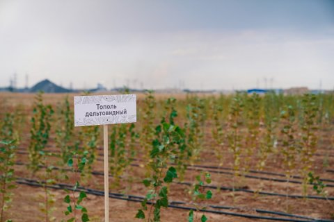 ТМК запатентовала технологию создания карбоновой фермы на полигоне промышленных отходов ТМК запатентовала технологию создания карбоновой фермы на полигоне промышленных отходов