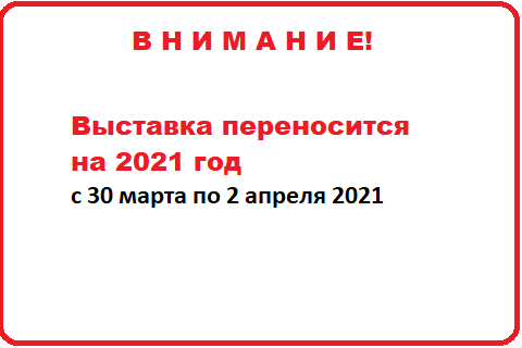 MosBuild 2020